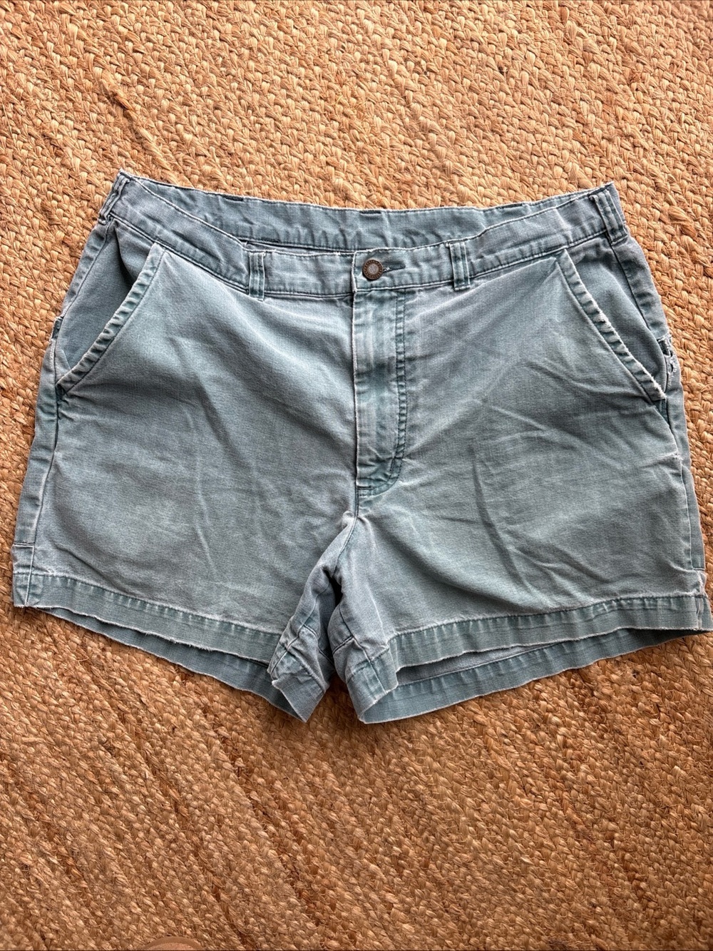 Vintage Y2K Patagonia Organic Cotton Blue Active Shorts Hiking Sz 36 Distressed